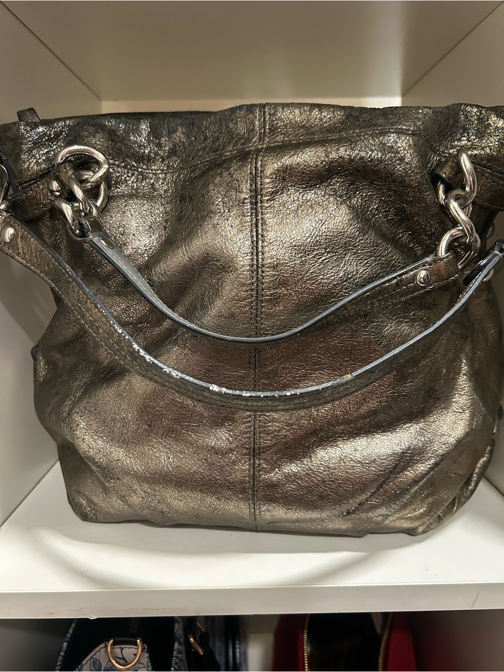 Authentic Coach Metallic Brooke Leather Pewter Hobo Bag